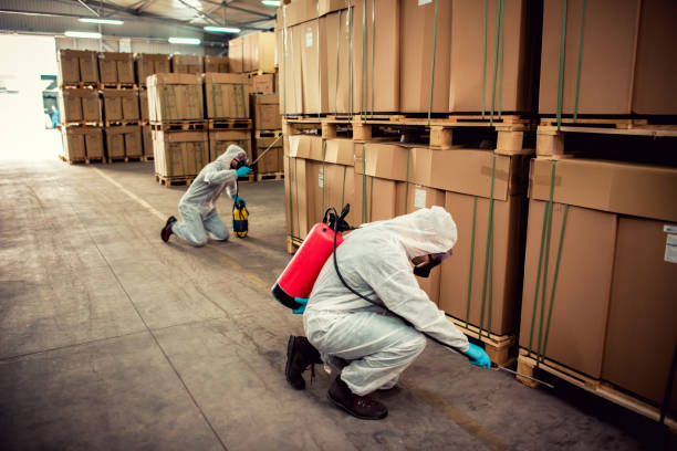 Best Exterminator Services  in Dodge City, KS