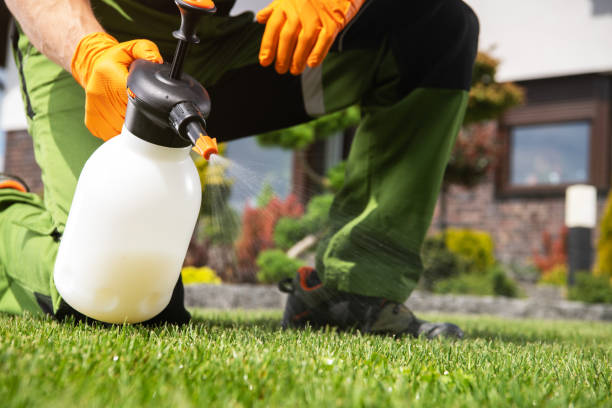 Insect Control in Dodge City, KS