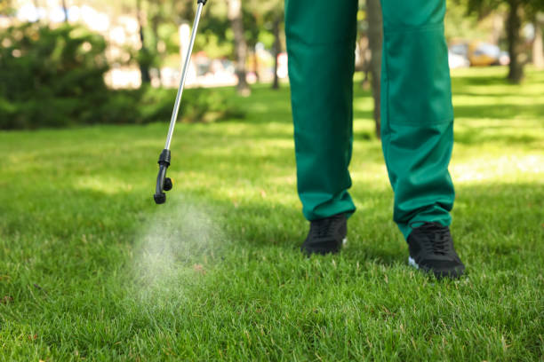 Best Termite Control Services  in Dodge City, KS