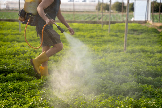 Best Affordable Pest Control Services  in Dodge City, KS