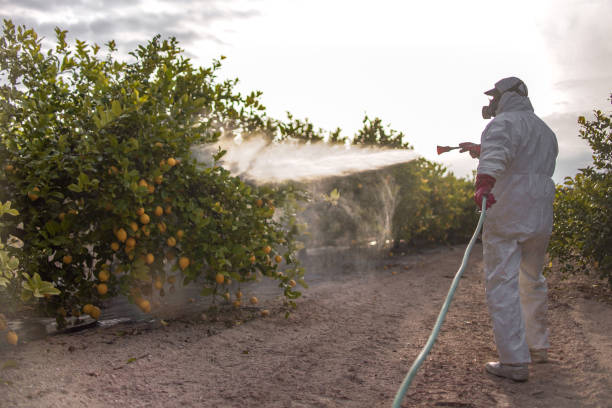 Best Flea Control Services  in Dodge City, KS