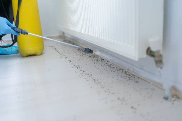 Best Affordable Pest Control Services  in Dodge City, KS