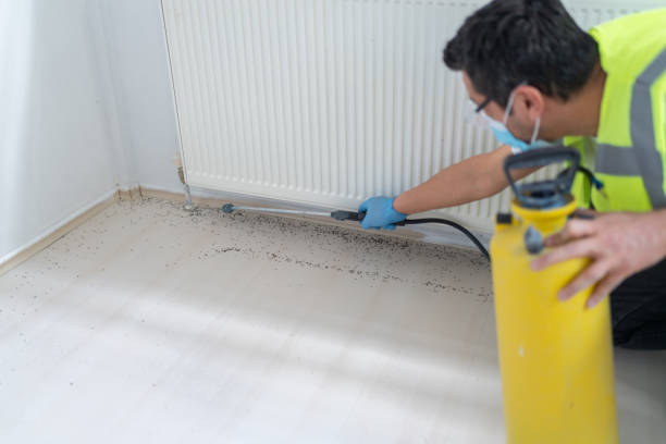 Best Residential Pest Control  in Dodge City, KS